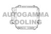 AUTOGAMMA 102132 Radiator, engine cooling